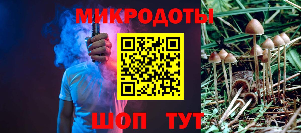 Галлюциногенные грибы Psilocybine cubensis Петрозаводск