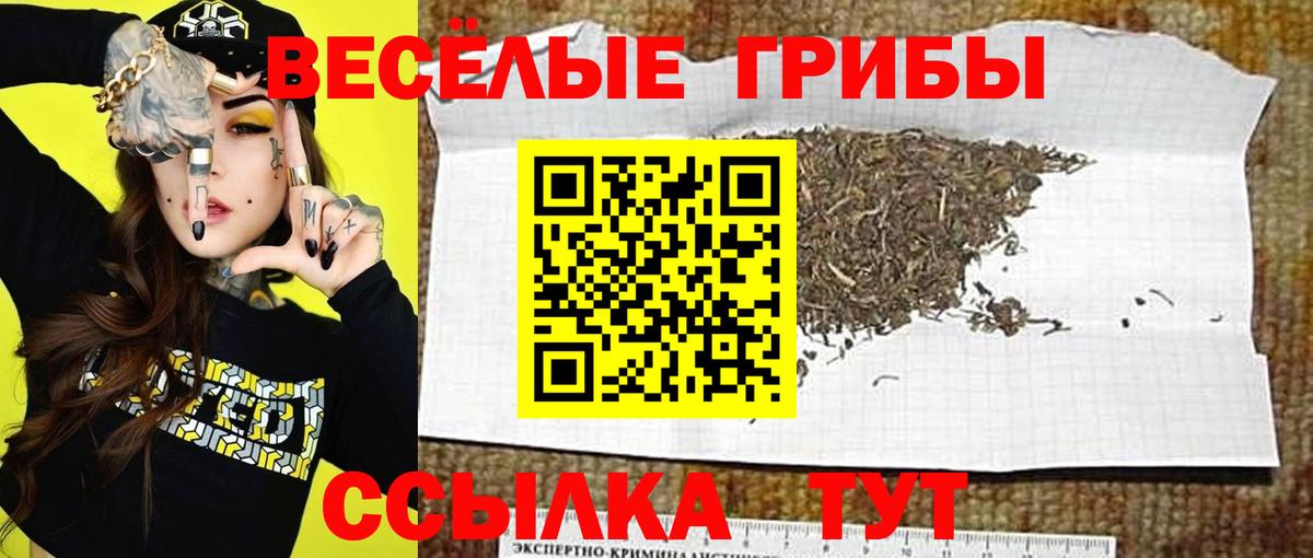 хочу наркоту  Псилоцибиновые грибы MAGIC MUSHROOMS  Галлюциногенные грибы MAGIC MUSHROOMS  Вход с VPN  Петрозаводск 